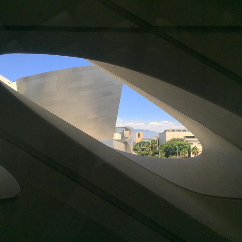 The Broad Window